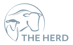 Herd Logo